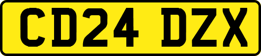 CD24DZX