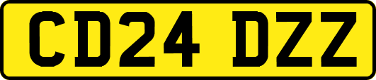 CD24DZZ