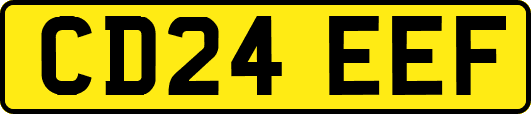 CD24EEF