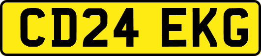 CD24EKG