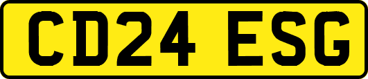 CD24ESG