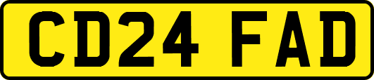 CD24FAD