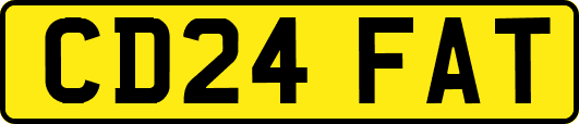 CD24FAT