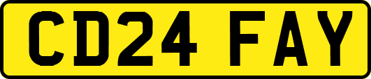 CD24FAY
