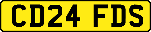 CD24FDS