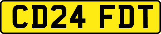 CD24FDT