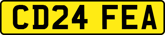 CD24FEA