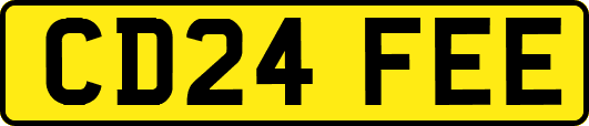 CD24FEE