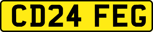 CD24FEG