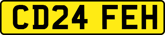 CD24FEH