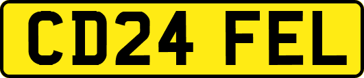 CD24FEL