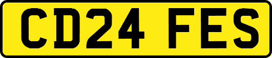 CD24FES