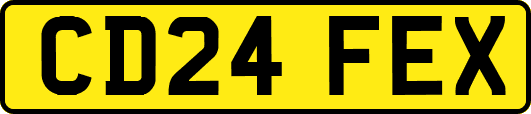 CD24FEX