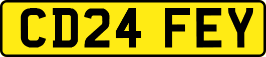 CD24FEY