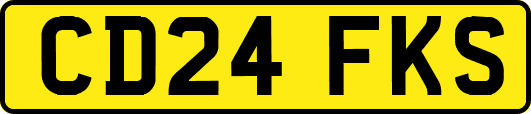 CD24FKS