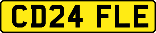 CD24FLE
