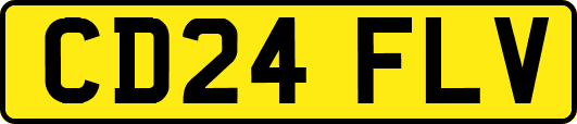 CD24FLV