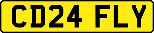 CD24FLY