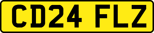 CD24FLZ