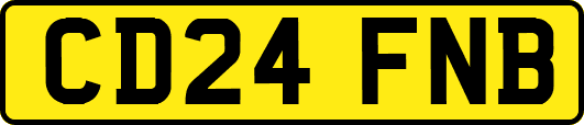CD24FNB