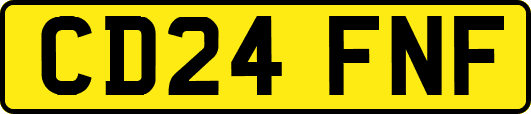 CD24FNF
