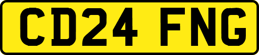 CD24FNG
