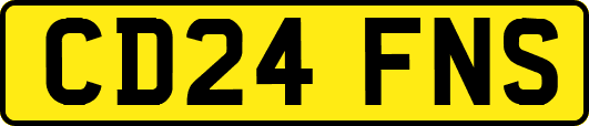 CD24FNS