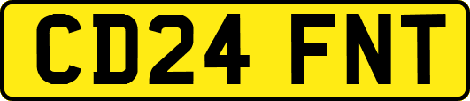 CD24FNT