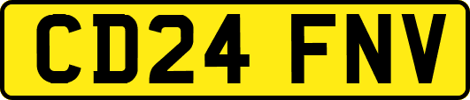 CD24FNV