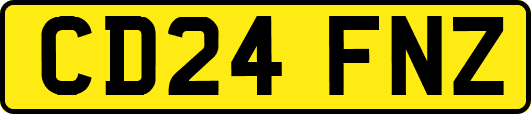 CD24FNZ