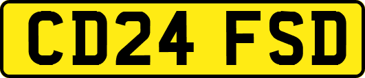CD24FSD
