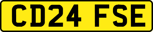 CD24FSE