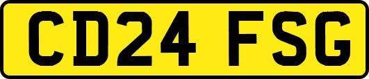 CD24FSG