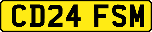CD24FSM