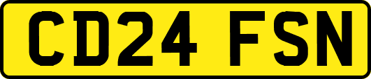 CD24FSN