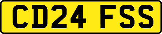 CD24FSS