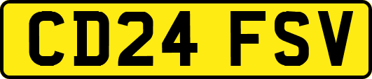 CD24FSV