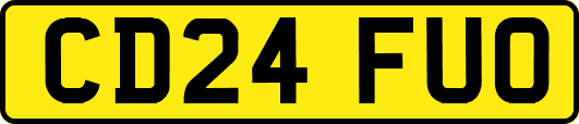 CD24FUO