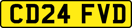 CD24FVD