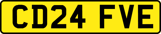 CD24FVE