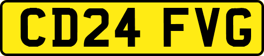 CD24FVG