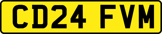 CD24FVM