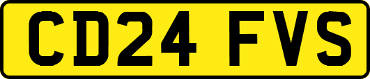 CD24FVS