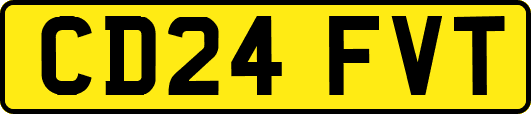 CD24FVT