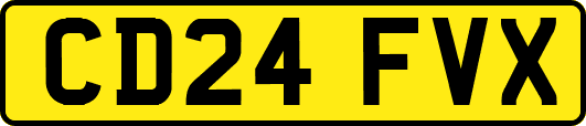 CD24FVX