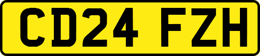 CD24FZH