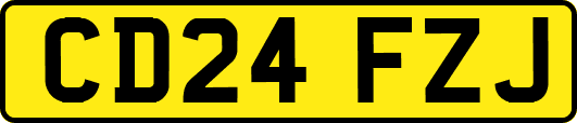 CD24FZJ