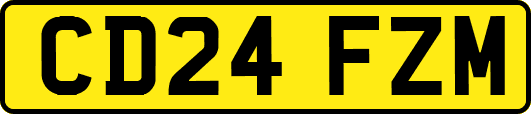 CD24FZM