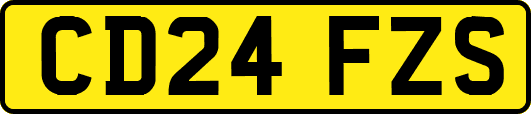CD24FZS