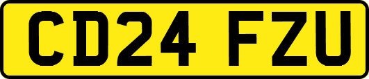 CD24FZU